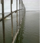 ���ʘ�ʹ�ð�����ۙ