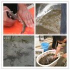 �G�����׎X���q�����������g��Ӗ�Ĵ�Ń��ݼ��h��