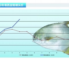 ���K���~�r(ji��)��Ҋ���q��Ͷ��������������ˮ�a(ch��n)ǰ�ء�2019��5�¿��Ј�(ch��ng)څ��(sh��)