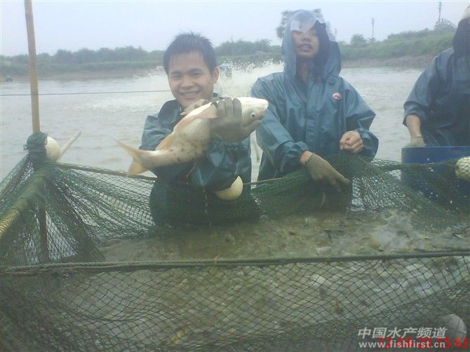 ��һ�����Wץ�����~