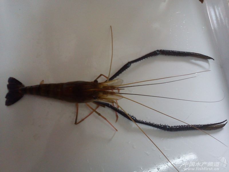 �������r