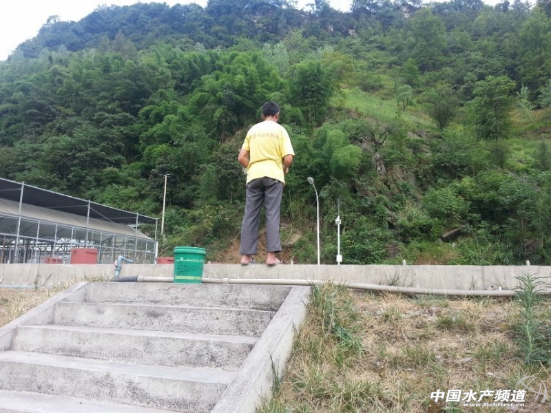 ������Ͷ�D