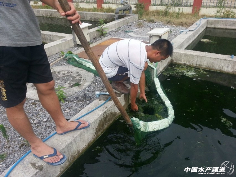 �¸����^�Vˮ��