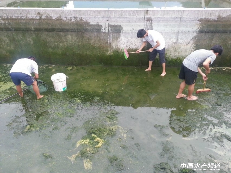 �������ϴ����