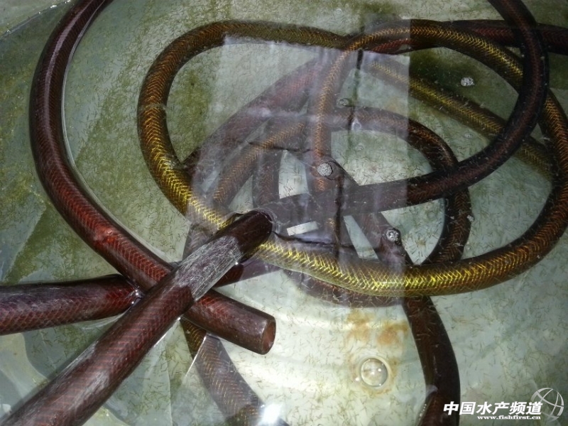 �����ġ�ˮ����