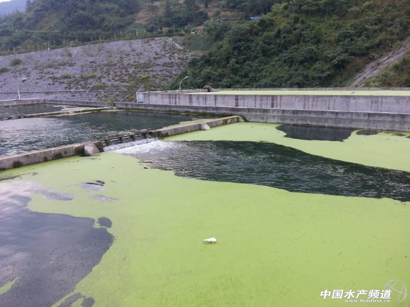 ���M��ˮ�A���Ĵ����