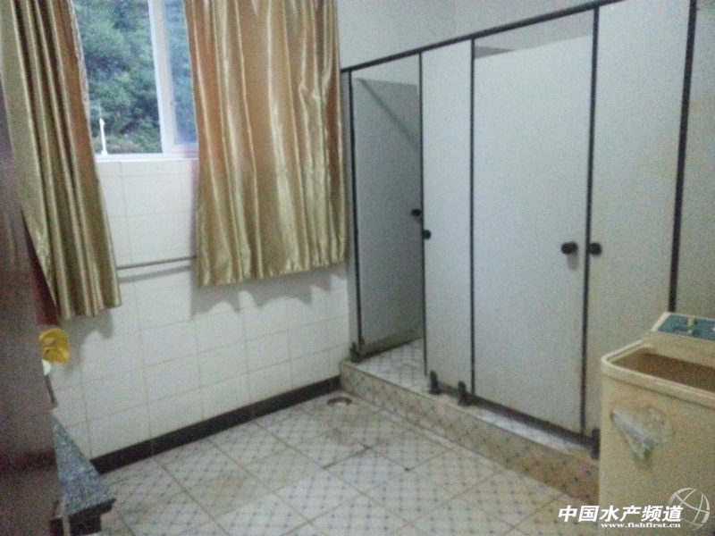 ����һ�l���g