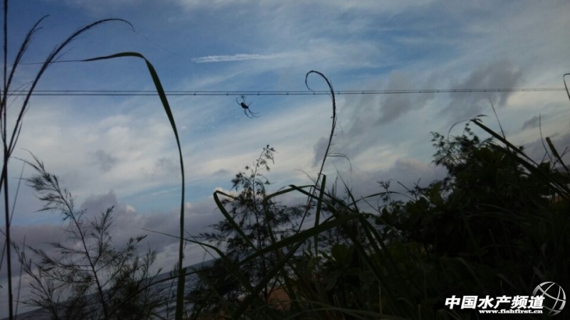 �@�죬�����ɵ�