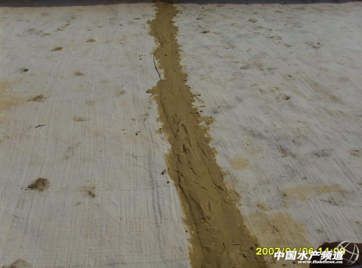 untitled.png untitled.png