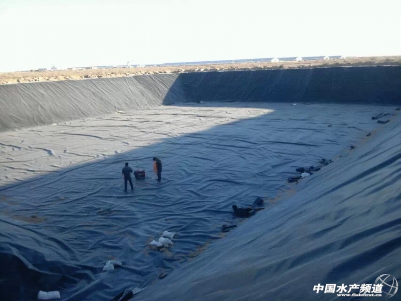 psb (27).jpg psb (27).jpg