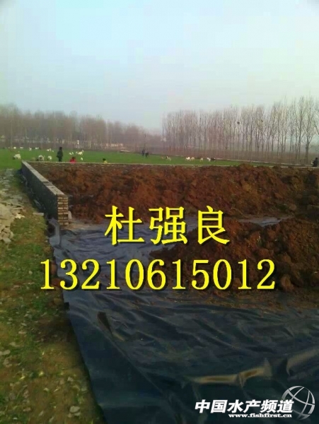 QQ圖片20150129080500.jpg QQ圖片20150129080500.jpg