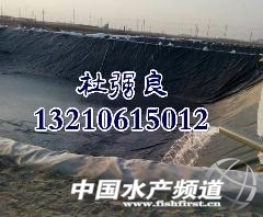 298167s - ����.jpg