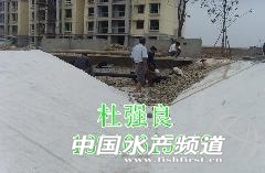 677498s - ����.jpg