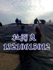 778853s - ����.jpg