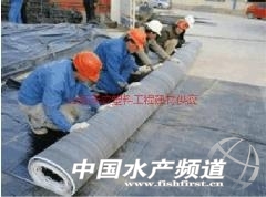 777042s - ����.jpg