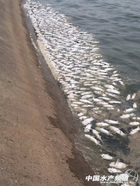 ��ϰ�ġ�����.jpg
