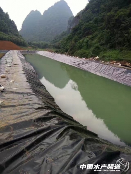 �~���Bֳ���BĤ���o���x����Ĥһ��һĤhdpe�ͺ�����Ĥ�ɲ�һĤ1.0mm �p����HDPE����Ĥ�����̏��ȳ���нӶ��Ƹ��N���BĤ�S��ֱ�N ����1Ԫ/�O�� ֧�ֶ��ƬF�ځ����5��ԇ��!!�|��10��,���M��