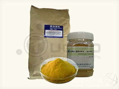 ��ĸ����