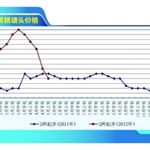 �S�X:���������Ӄr���»� ������r��ֱ�����