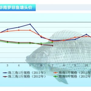 �_���~���ߜ��L�U �B�����~��Ը��������2012��8�¿��Ј�څ��