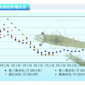 ���r���r�r��΢���� ���������B(y��ng)ֳ�P(gu��n)�I����2012��8�¿��Ј�څ��