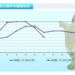 ���~�����y(t��ng)���M(f��i)���� ���s�r(ji��)С���ߵ͡���2012��8�¿��Ј�(ch��ng)څ��(sh��)