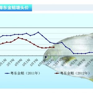 ���K���ߜ�Ӱ� �r���~�rή�Ҳ��񡪡�2012��8�¿��Ј�څ��