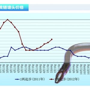 �S�X�����з�����r�� ���l�r׃���^�󡪡�2012��8�¿��Ј�څ��