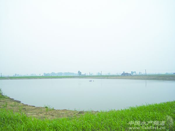 ���w���l��Ѫ��������~����