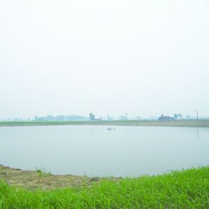 ���w���l��Ѫ��������~����