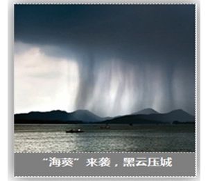 �_�L��������������˼��