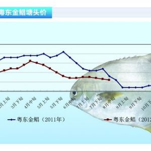 ���K�����Ѓr��Ҋ�q�����Բ��󡪡���ˮ�aǰ�ء�2012��9�¿��Ј�څ��