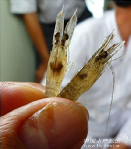 ��̫�؅^���r�����o����ԃ���h���Y���