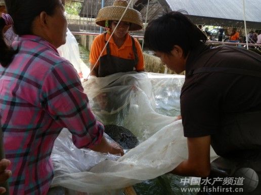 �_���~���繩��δҊ�o��