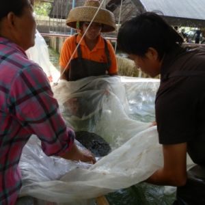 �_���~���繩��δҊ�o��