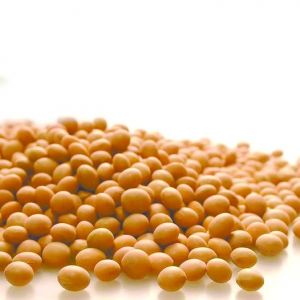 �ɱ��j�� ���M�ڴ��ή�s