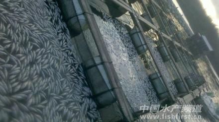 �������ݣ�ˮ���J�^�ȷ��� �W���~ȱ��һҹ��