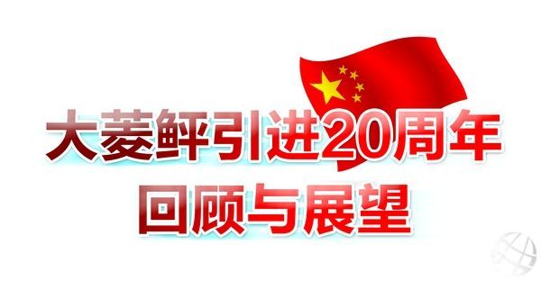 ���������M20�������cչ��