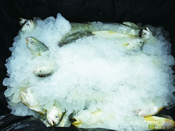 ȫ��ҕҰ�µ��Ї����S�~�a�I