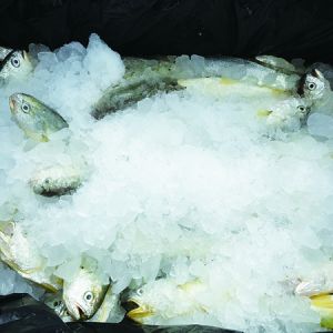 ȫ��ҕҰ�µ��Ї����S�~�a�I