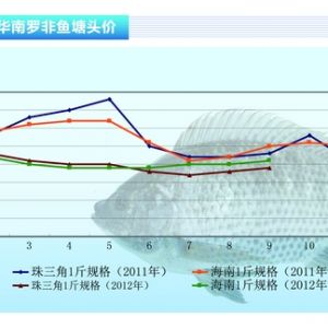 �_���~���f�~�������� �r�������څ�ݡ�����ˮ�aǰ�ء�2012��10�¿��Ј�څ��