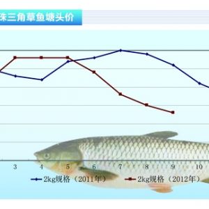 ���~���~�r�o��ɫ �B(y��ng)ֳ�����Ĝp��������ˮ�a(ch��n)ǰ�ء�2012��10�¿��Ј�څ��