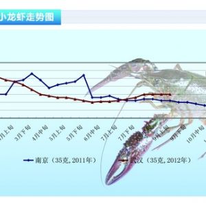 С���r��ʳз�r�� ���r�R��������ˮ�aǰ�ء�2012��10�¿��Ј�څ��