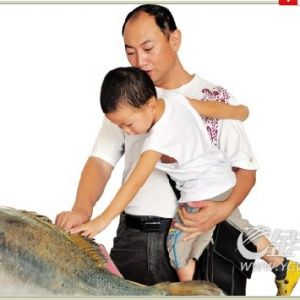 11.8�|Ԫ�����T�׽����|�@ʷ�����ُ�Nӆ��