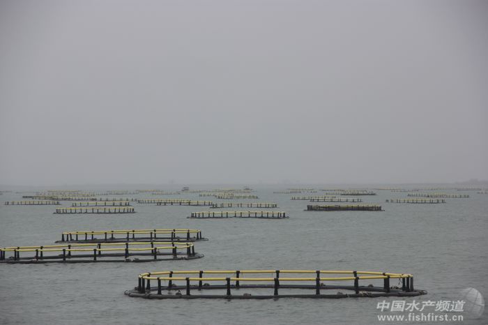 ���Ϻ�˼�h�� ���KƷ��������