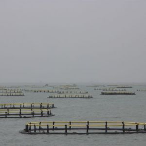 ���Ϻ�˼�h�� ���KƷ��������