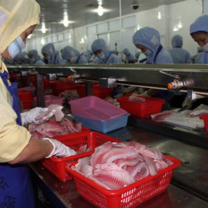 ��ɽ�ۿ���_���~���Ρ�������