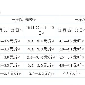 2012��10��29--11��2���_���~�܈�