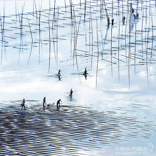 ϼ�֡��Ї��ϲ�֮�l[�D��ˮ�a]