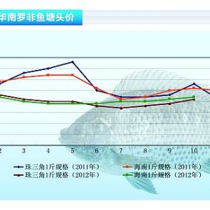 �_���~���~�rƽ�� �����y�N������ˮ�aǰ�ء�2012��11�¿��Ј�څ��